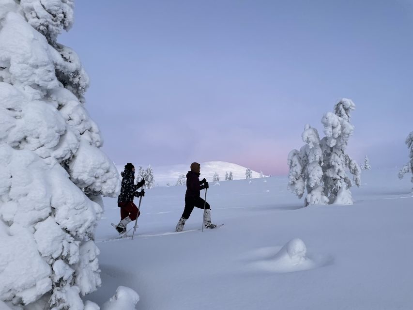 Levi: Pallas-Yllästunturi National Park Snowshoeing Tour - Key points to know before booking