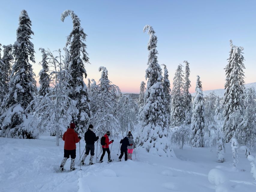 Levi: Pallas-Yllästunturi National Park Snowshoeing Tour - The second one-hour walk