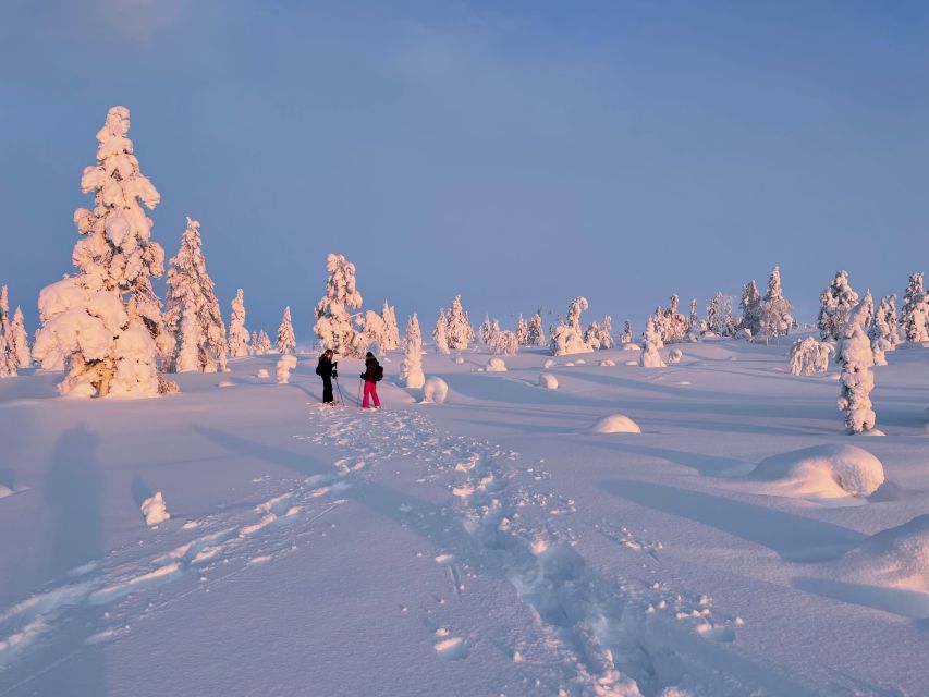 Levi: Pallas-Yllästunturi National Park Snowshoeing Tour - What to wear for a comfortable walk