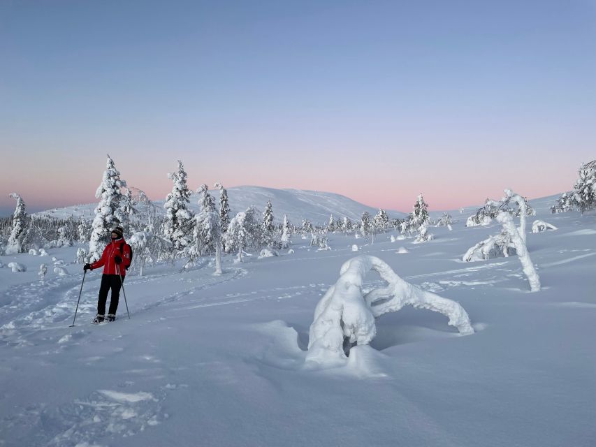 Levi: Pallas-Yllästunturi National Park Snowshoeing Tour - Cancellation and a practical warning