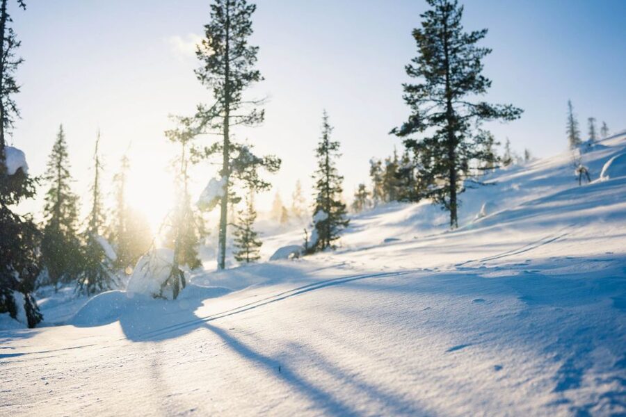 Levi: Snowshoe Adventure in the Wilderness - Photo stops with a guide who teaches, not just points