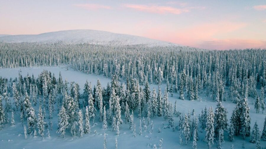 Levi: Snowshoe Adventure in the Wilderness - The wilderness walk and its changing rhythm