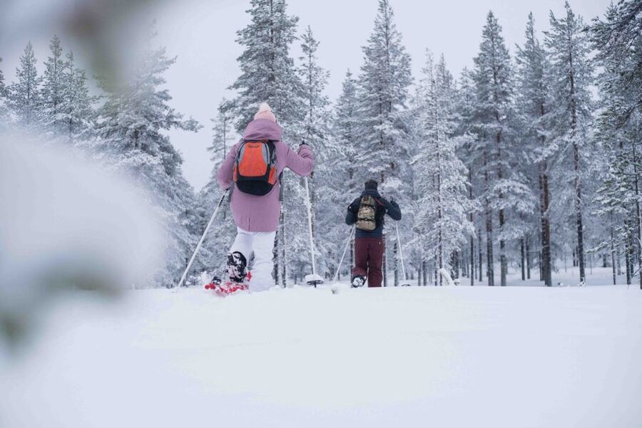 Levi: Snowshoe Adventure in the Wilderness - Who should book this snowshoe experience