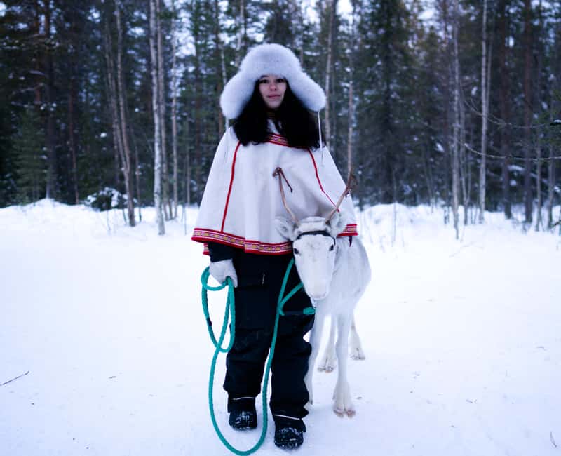 Levi: Winter Wilderness Husky & Reindeer Safari Combo Tour - A gentle start with reindeer in the snowy forest