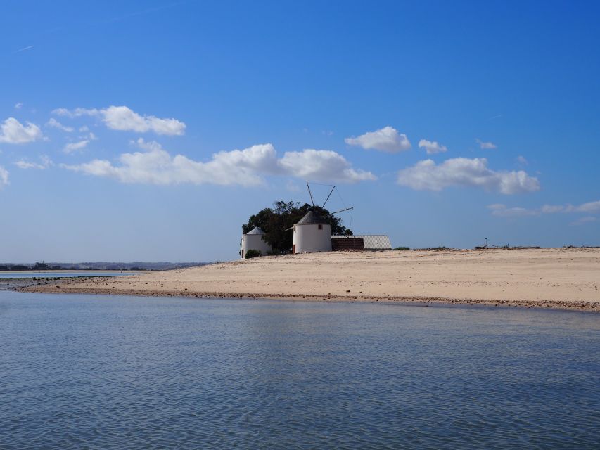 Lisbon: Tagus Estuary Nature Reserve Birdwatching Boat Tour - Why this estuary trip feels so different from Lisbon