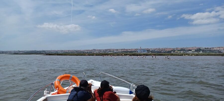 Lisbon: Tagus Estuary Nature Reserve Birdwatching Boat Tour - Parque das Nações gives you a useful first view