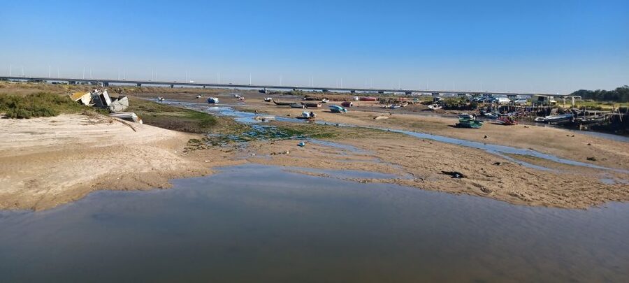 Lisbon: Tagus Estuary Nature Reserve Birdwatching Boat Tour - What the $58 price gives you
