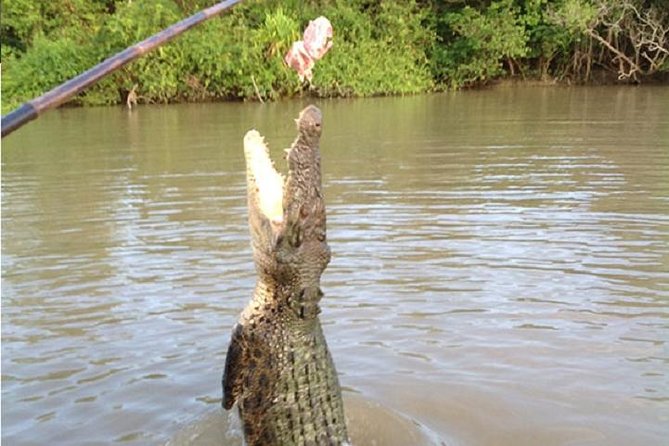 Litchfield National Park and Jumping Crocodile Cruise - Lunch, Snacks, and the Human Side of the Tour