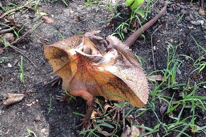 Litchfield National Park and Jumping Crocodile Cruise - What the 11-Hour Schedule Really Feels Like