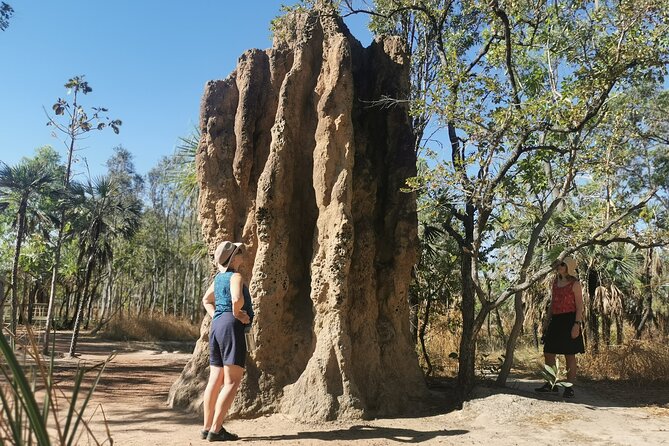 Litchfield National Park Day Tour & Berry Springs, Max 11 Guests - Buley Rockhole is more playful than grand