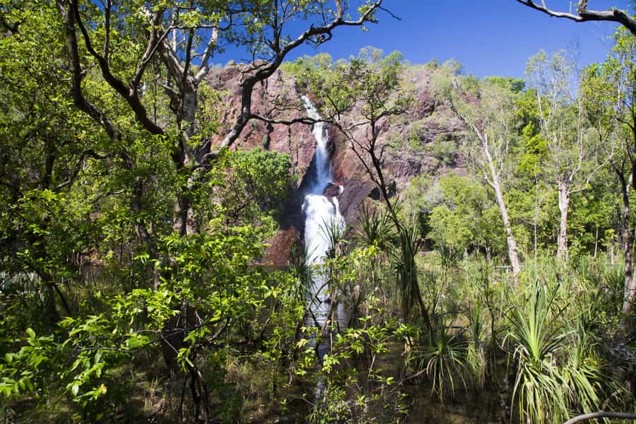 Litchfield National Park: Full-Day & Lunch from Darwin - Tolmer Falls and the park’s more dramatic viewpoints