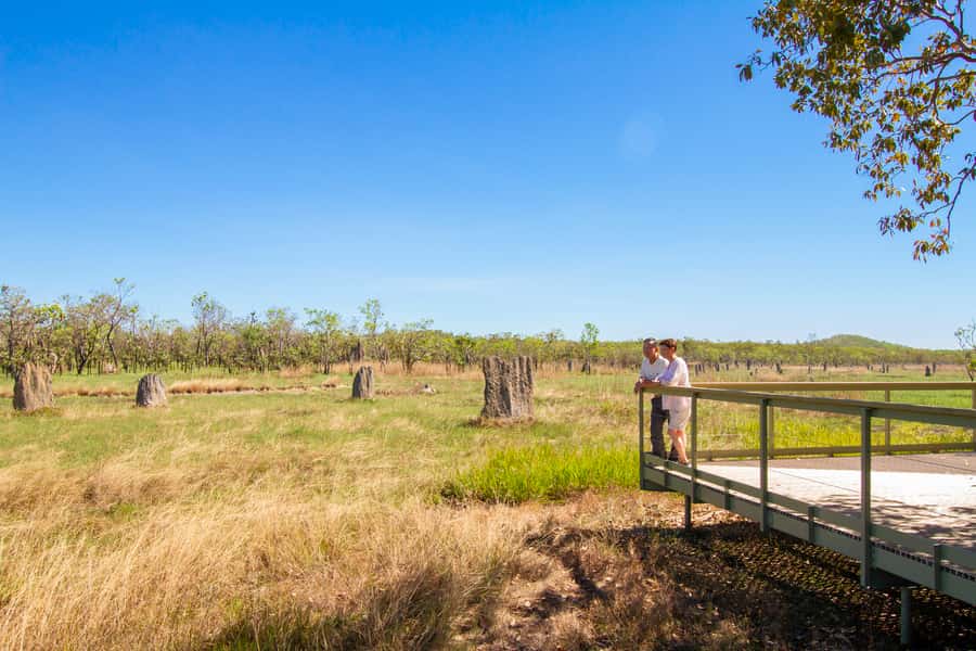Litchfield National Park: Full-Day & Lunch from Darwin - The coach ride and the value of a guide