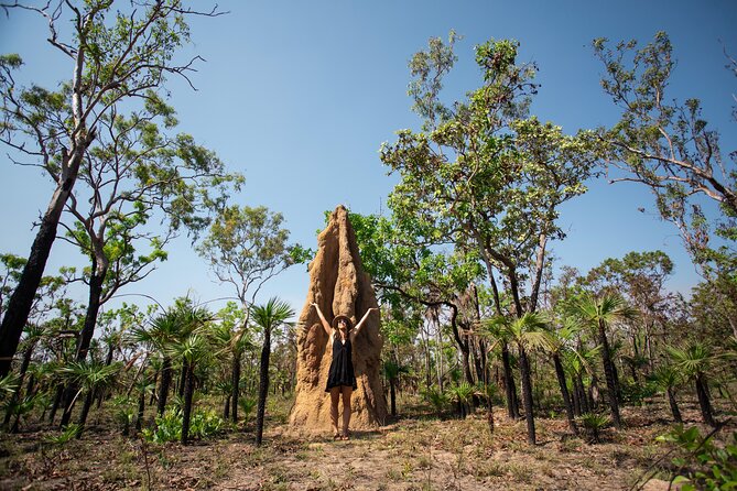 Litchfield National Park Tour with Wetlands or Crocodile Cruise - Why Litchfield works so well as a Darwin day trip
