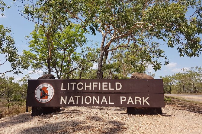 Litchfield National Park Tour with Wetlands or Crocodile Cruise - Magnetic termite mounds are more than a quick photo stop