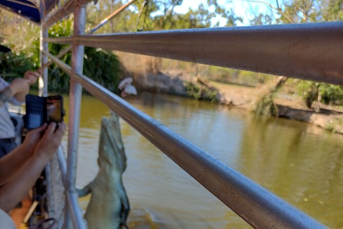 Litchfield National Park Tour with Wetlands or Crocodile Cruise - Wildlife, culture, and commentary on the road