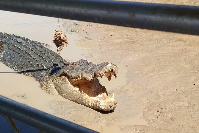 Litchfield National Park Tour with Wetlands or Crocodile Cruise - The long day and what to pack