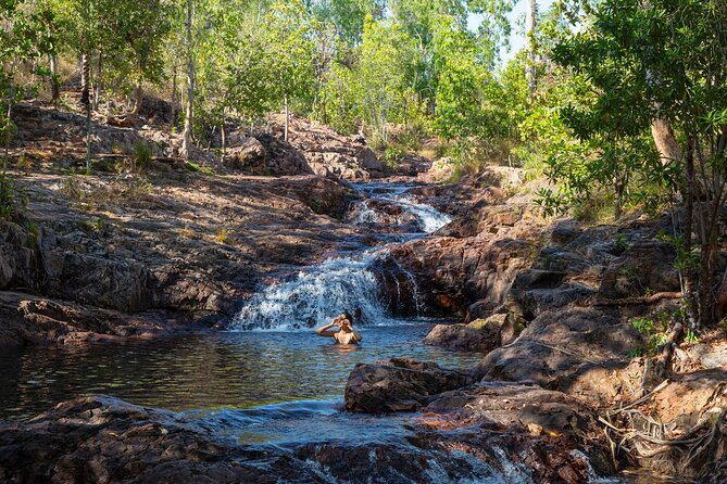Litchfield National Park Waterfalls & Wildlife Adventure Tour - Why this Darwin day trip works