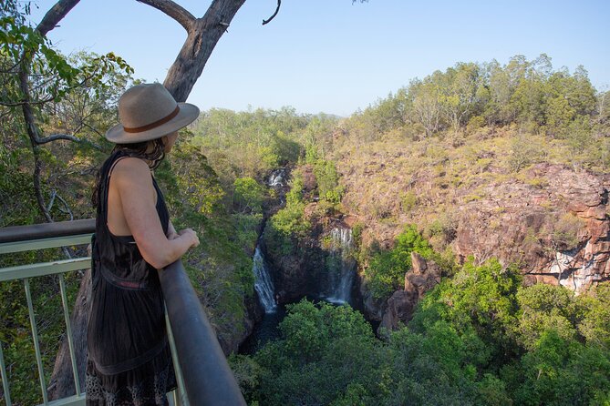 Litchfield National Park Waterfalls & Wildlife Adventure Tour - The optional jumping crocodile cruise