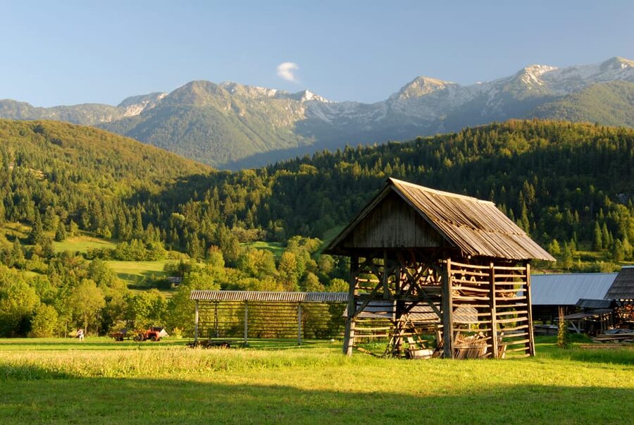 Ljubljana: Lake Bled & Triglav National Park Full-Day Trip - Timing, comfort, and practical limits