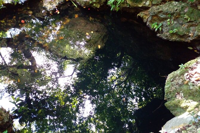 Local Excursion | Cabarete Caves National Park - Who should book this cave excursion?