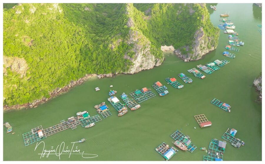 Long Trekking Catba national park, Lan ha bay full day trip - A full day that links forest, village, and bay
