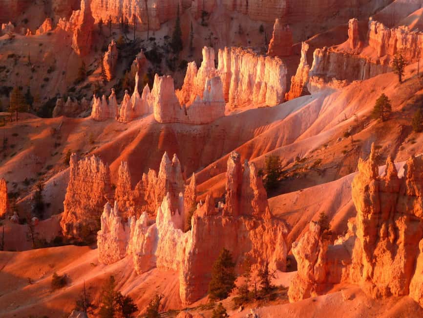 Los Angeles: 10-Day Yellowstone National Park Round Tour - Days 3 and 4: Yellowstone’s geysers, wildlife country, and canyon views