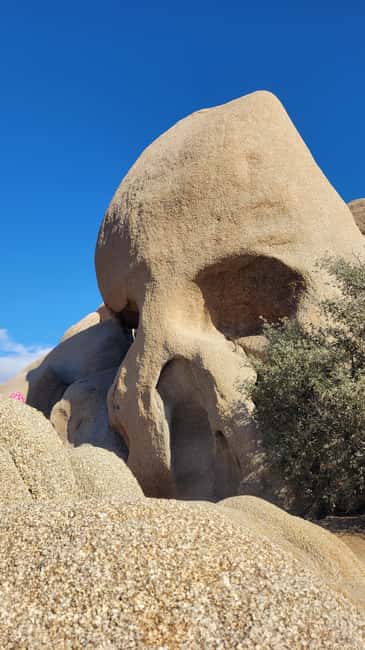 Los Angeles: Private Tour to Joshua Tree National Park - Optional stops before Joshua Tree