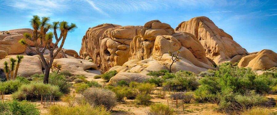 Los Angeles: Private Tour to Joshua Tree National Park - The ride from Los Angeles to the desert