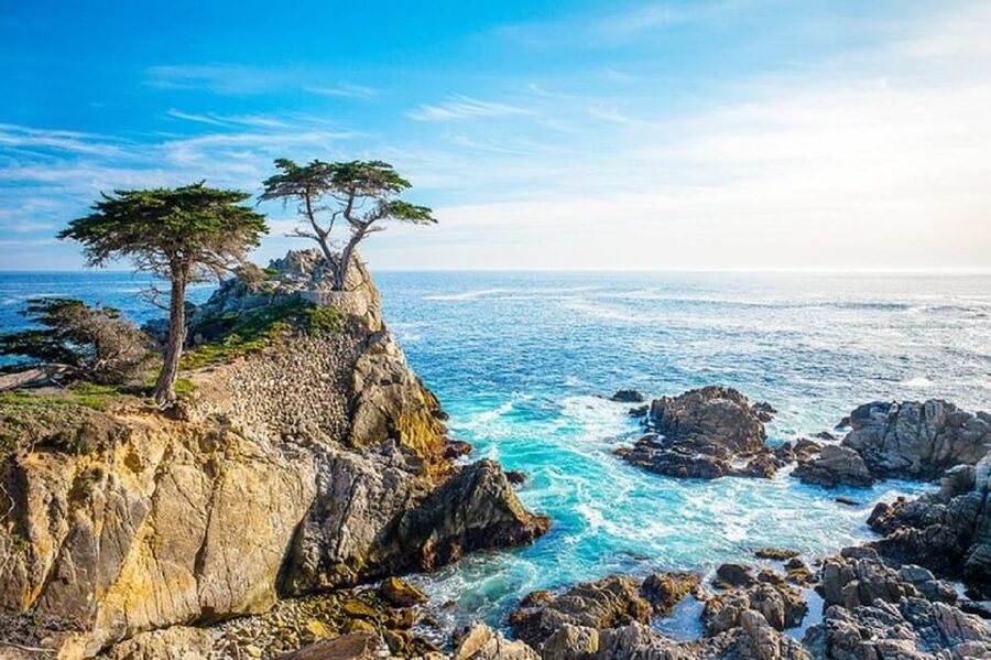 Los Angeles-San Francisco,Yosemite National Park 3-Day Tour - Day 3: Yosemite in a compressed visit