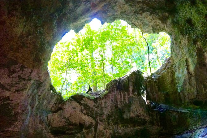 Los Haitises National Park and Cayo Levantado Island Day Trip from Samana - Crossing Samaná Bay by boat