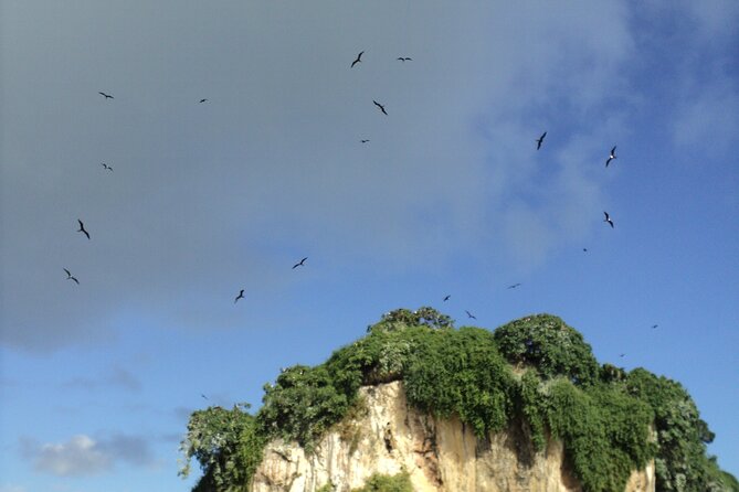 Los Haitises National Park and Cayo Levantado Island Day Trip from Samana - Who should book this Samaná excursion