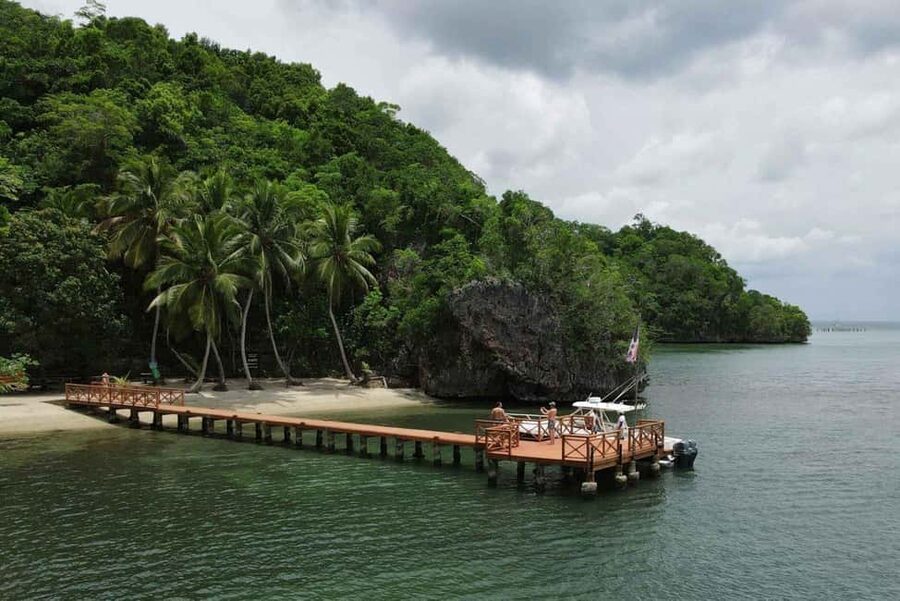 Los Haitises National Park: Boat Tour with Caves Visit - Seeing Cueva de la Línea and its markings