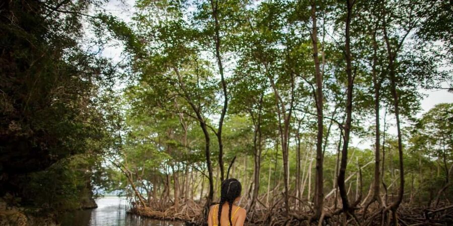 Los Haitises National Park: Boat Tour with Caves Visit - Who will enjoy this boat and cave tour?