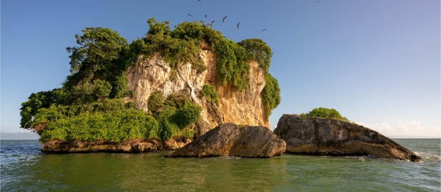 Los Haitises National Park: Boat Tour with Caves Visit - Leaving Caño Hondo for the red mangroves
