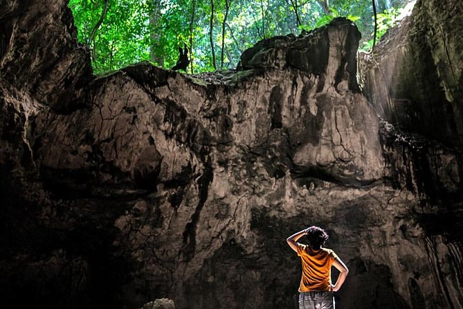 Los Haitises National Park - Hiking in Rain Forest + Private Boat to Caves - Key details before you book