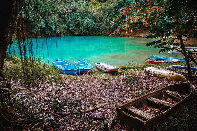 Los Haitises National Park - Hiking in Rain Forest + Private Boat to Caves - What the $71.80 price really covers