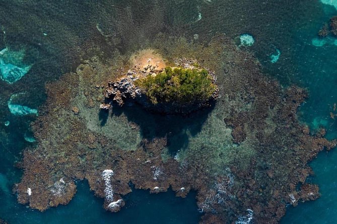 Los Haitises National Park private Kayaking 4 hours trip Mangroves and Cave - Key points at a glance