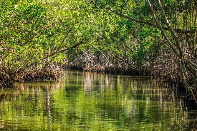 Los Haitises National Park Tour from Las Terrenas or Samana (Half Day Trip) - Reaching Los Haitises across Samaná Bay