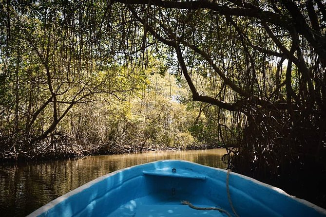 Los Haitises National Park Tour from Las Terrenas or Samana (Half Day Trip) - What $102.57 buys you