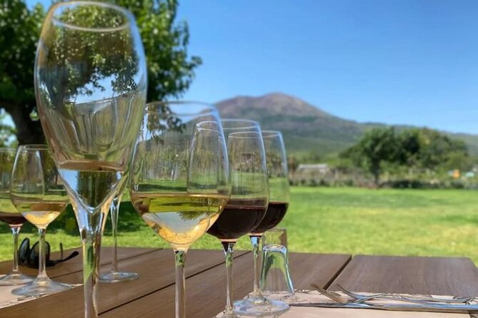 Lunch & Wine Tasting in the National Park of Mt Vesuvius - The wine tasting, explained without fuss