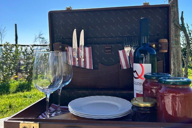 Lunch & Wine Tasting in the National Park of Mt Vesuvius - Dietary needs and comfort