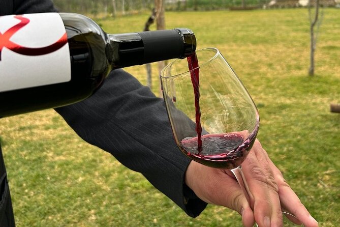 Lunch & Wine Tasting in the National Park of Mt Vesuvius - Who should book this experience?