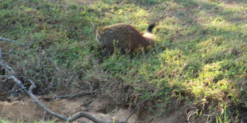 Lunugamvehera National Park Safari ( Yala Block V / VI ) - What the scenery adds to the drive