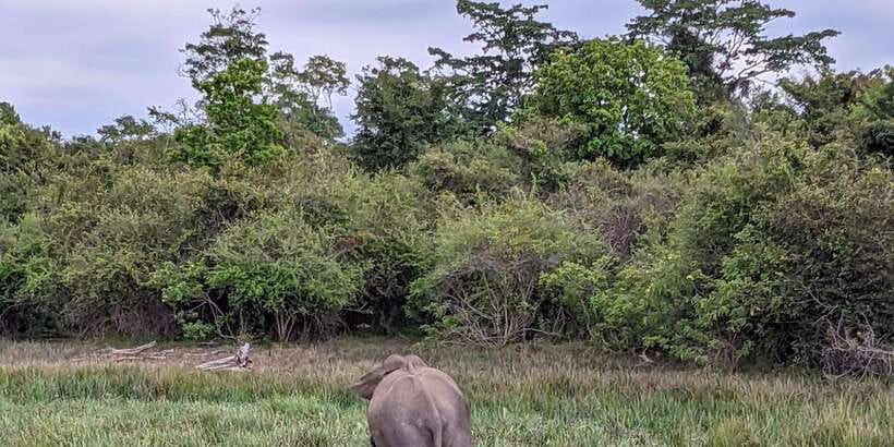 Lunugamvehera National Park Safari ( Yala Block V / VI ) - What the six-hour plan looks like
