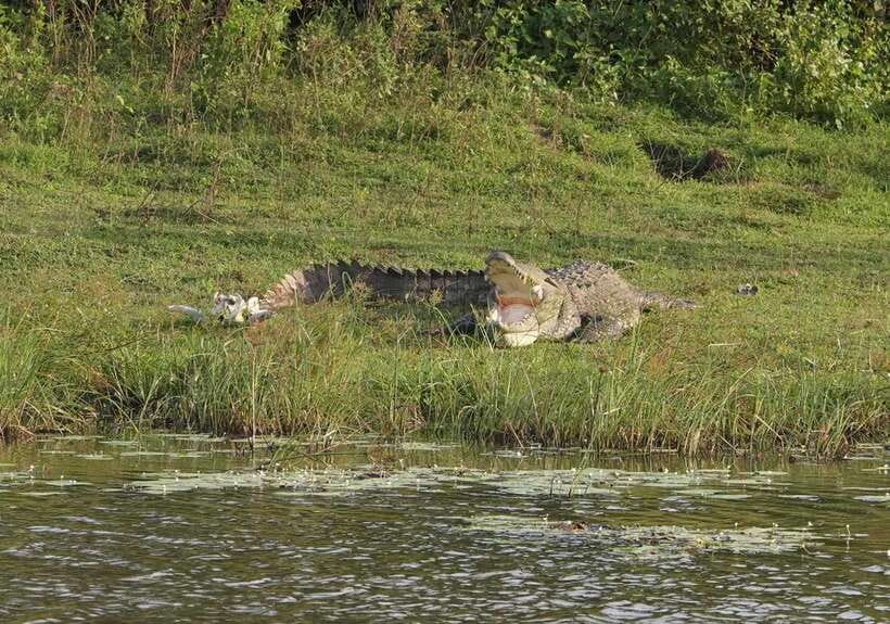 Lunugamvehera National Park ( Yala Block 5 / 6 ) Wild Safari - Four hours inside Lunugamvehera National Park