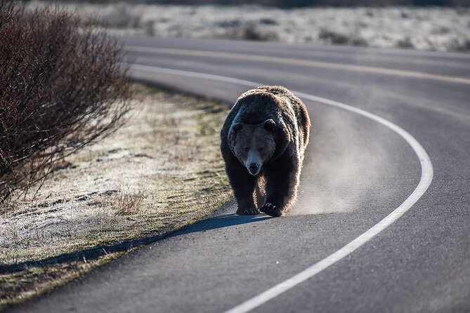 Luxury Private Half-Day Grand Teton National Park Tour - Oxbow Bend is the strongest photo stop