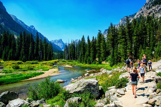 Luxury Private Half-Day Grand Teton National Park Tour - Guides, wildlife, and the human side of the tour