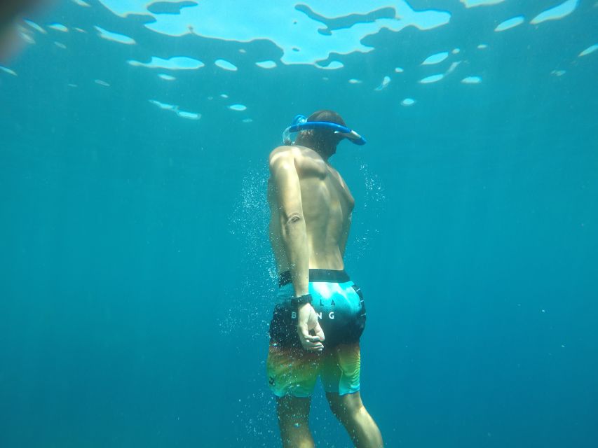 Madeira: Garajau Nature Reserve Kayak and Snorkel Tour - A Kayak Route With a Real Purpose