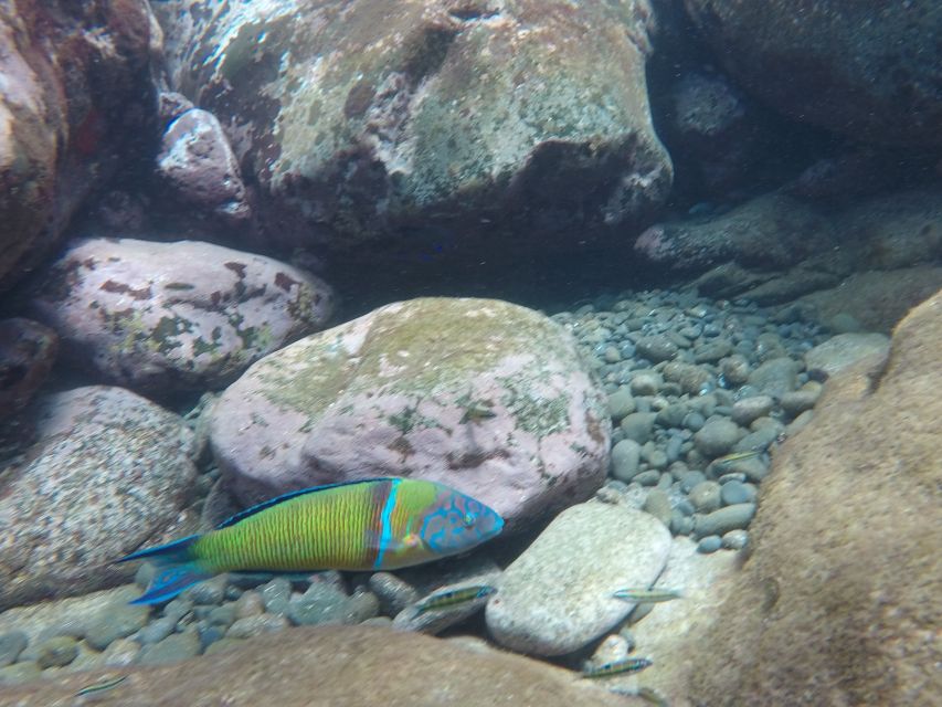 Madeira: Garajau Nature Reserve Kayak and Snorkel Tour - Lazareto’s Pebble Beach and Rocky Views