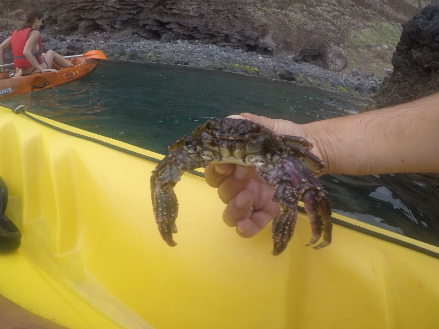 Madeira: Garajau Nature Reserve Kayak and Snorkel Tour - What Happens When the Sea Turns Rough